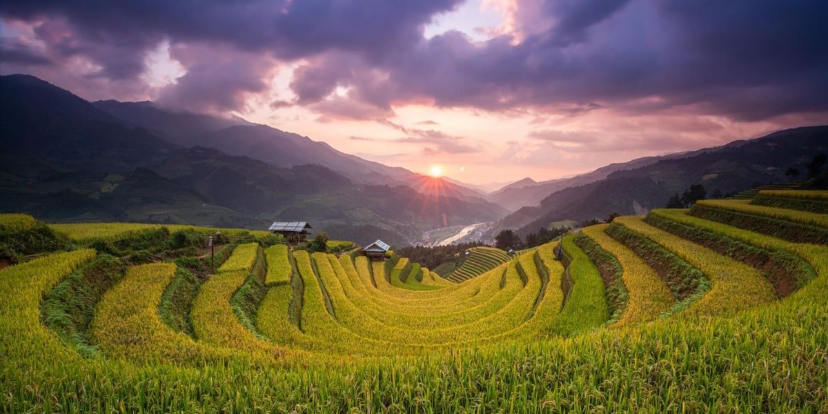 que-visiter-au-vietnam-1-mu-cang-chai