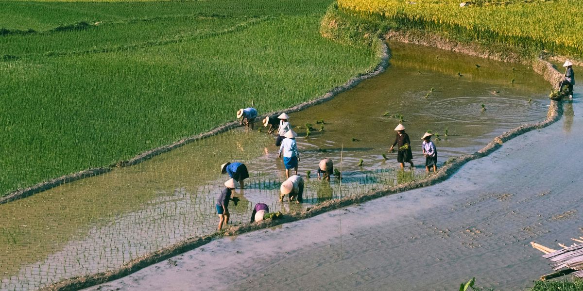 cambodge-ou-vietnam-en-famille-1