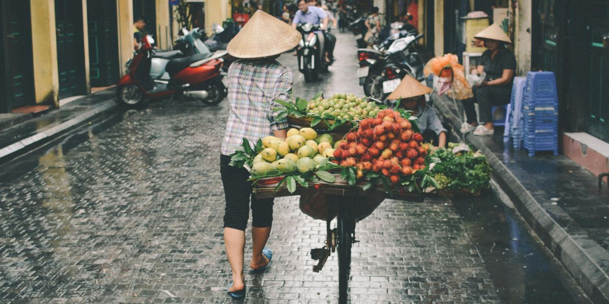 guide-de-voyage-vietnam-1