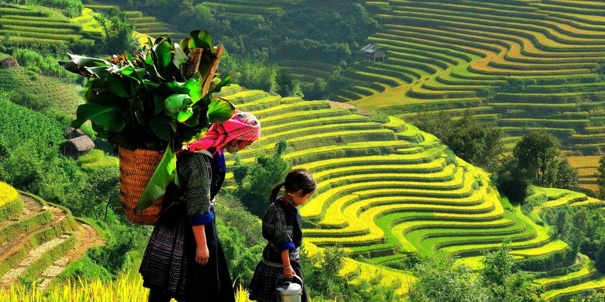 incontournables-vietnam-3