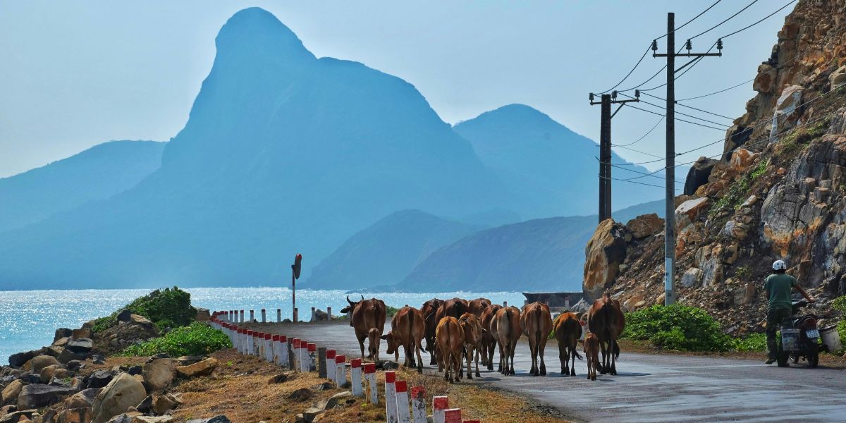 les-plus-belles-plages-au-vietnam-4