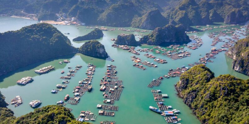 bai-d-halong-1